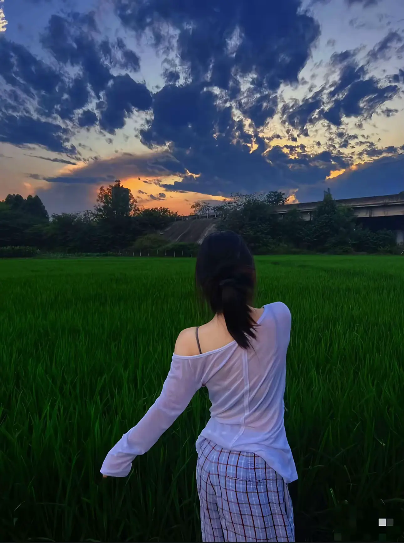 我们都太普通了 没有很好的家庭背景 没有拿得出手的学历 没有很棒的工作...