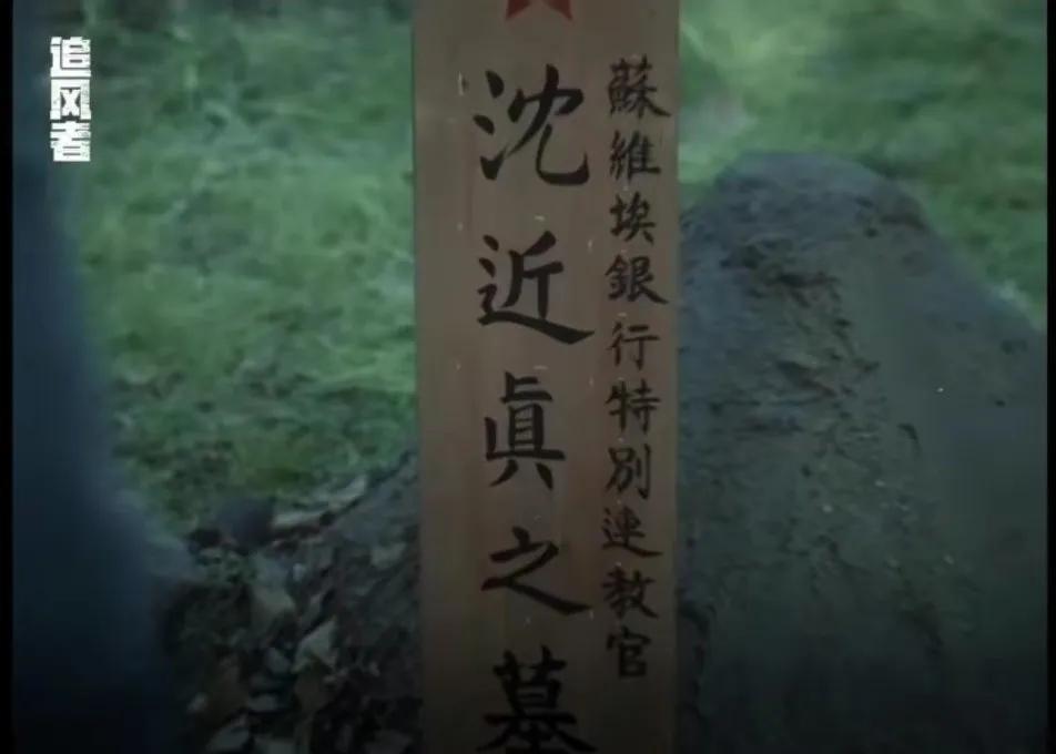 沈近真死了，看得我好心痛。
李沁真是演活了沈近真。尤其和沈图南发现她是共产党那场