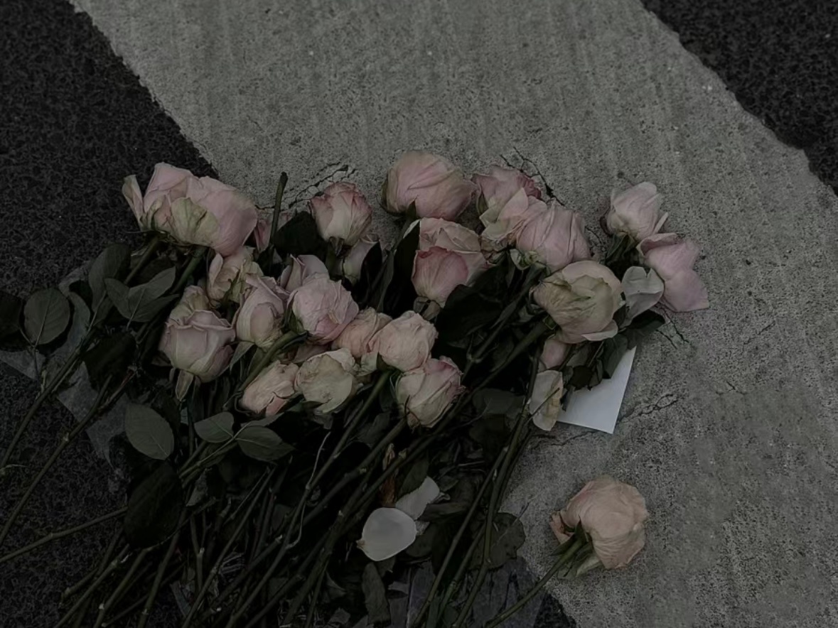 模糊又清晰到底是时间不对还是我们无缘. ​​​