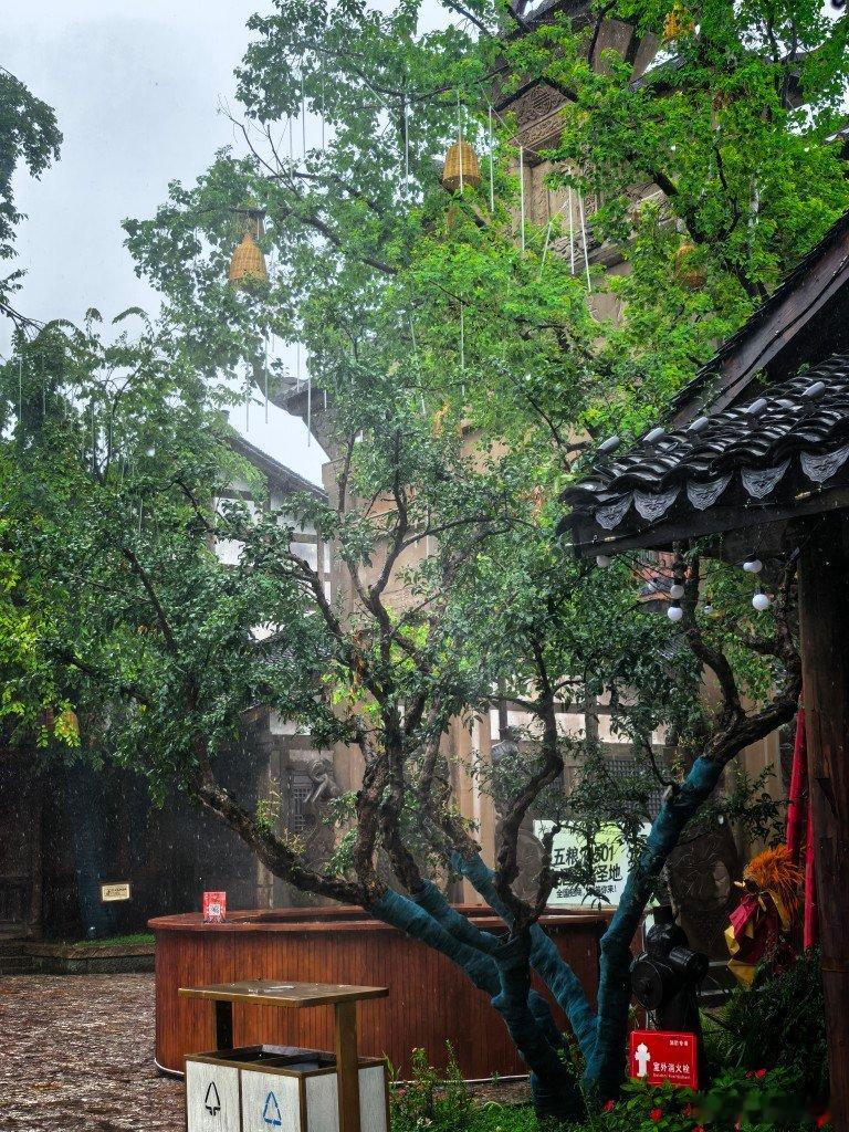下大雨，找了一个茶馆，打发时间本来计划有去乐山，沿途想去一个距离宜宾六十公里的老
