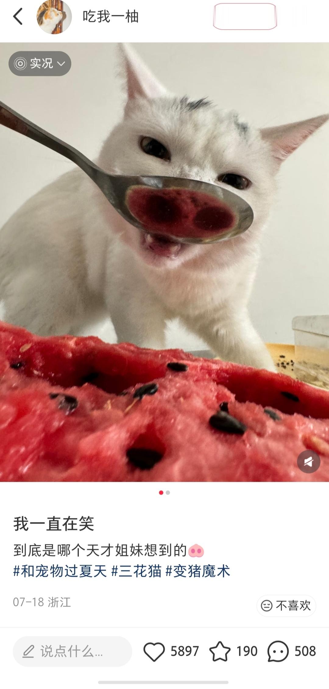 昨天才刷到这个变猪魔术王源今天就拍了 