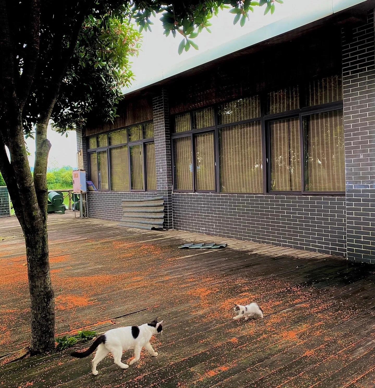 像我小时候放学跑到我妈身边的样子 ​​​