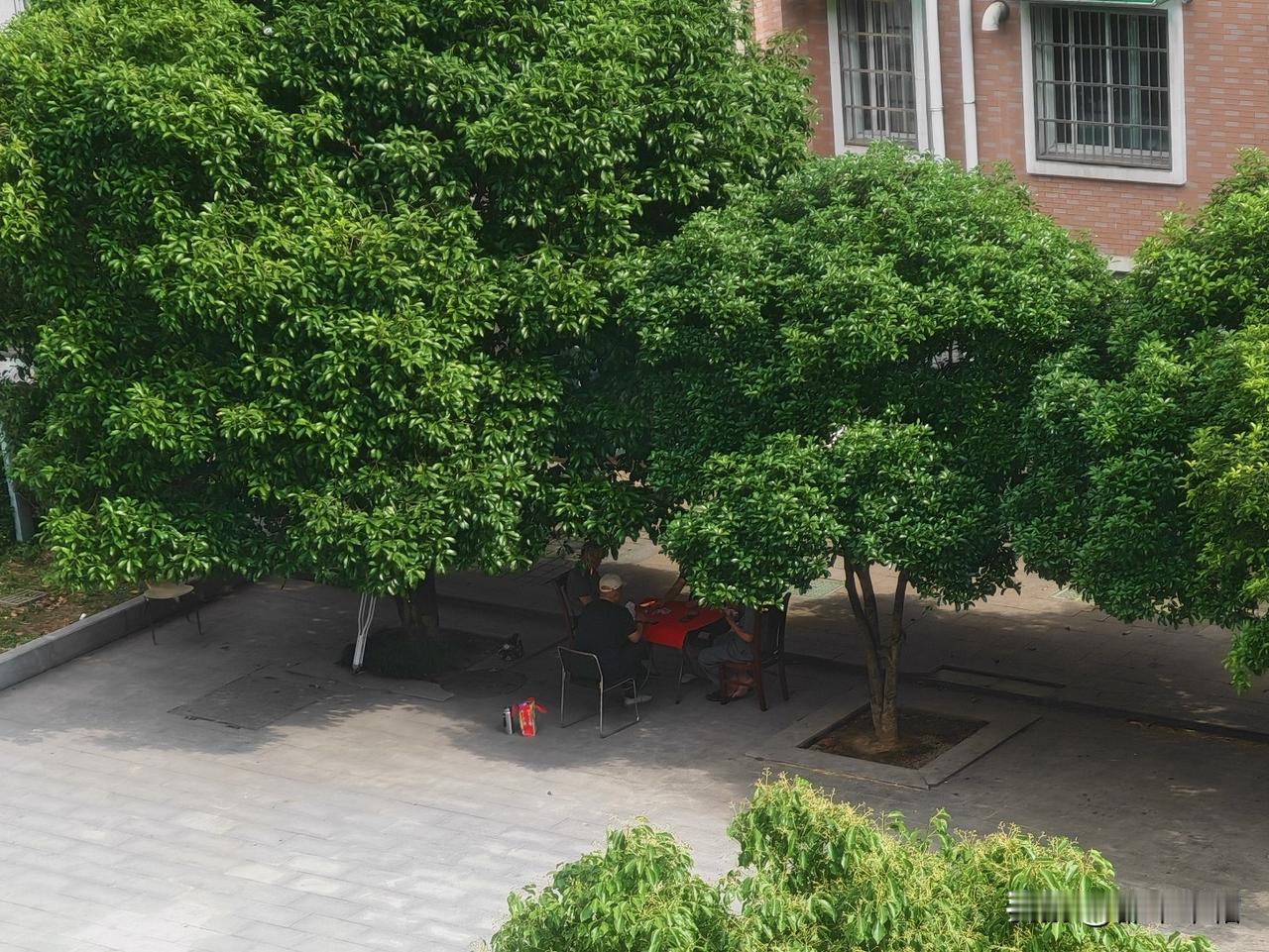 亭子里，活动室中，大树下……几个人摆一张桌子，几把椅子就可以凑一桌牌。特别是扑克