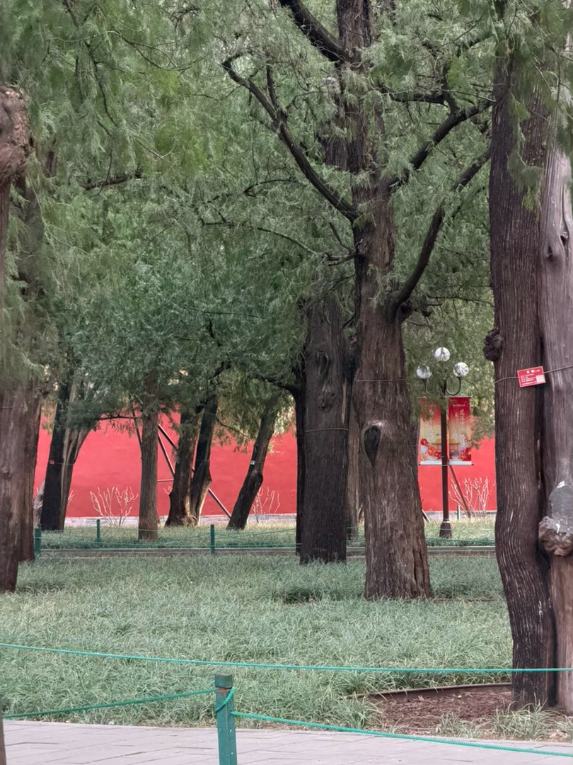 迎春🌳🌸轻轻走，自然更好看我的日常plog