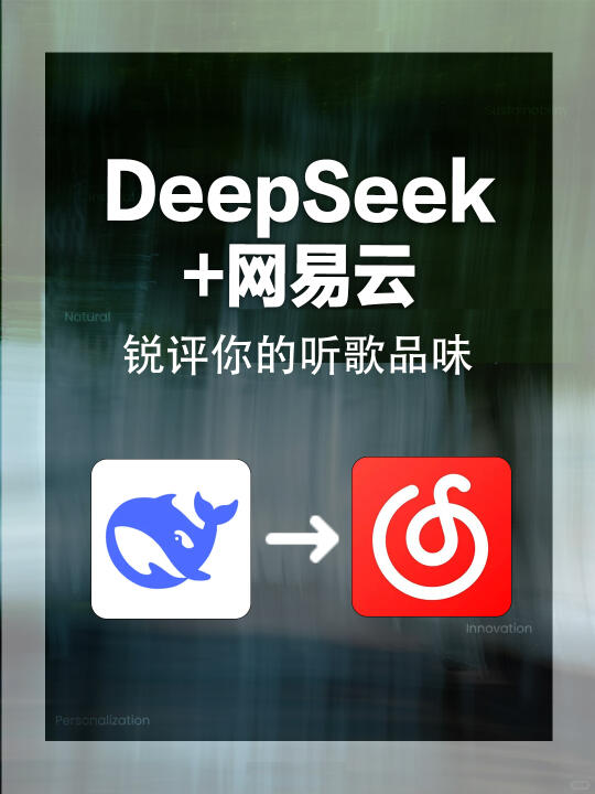 网易云用户进！让DeepSeek锐评你的音乐品味
