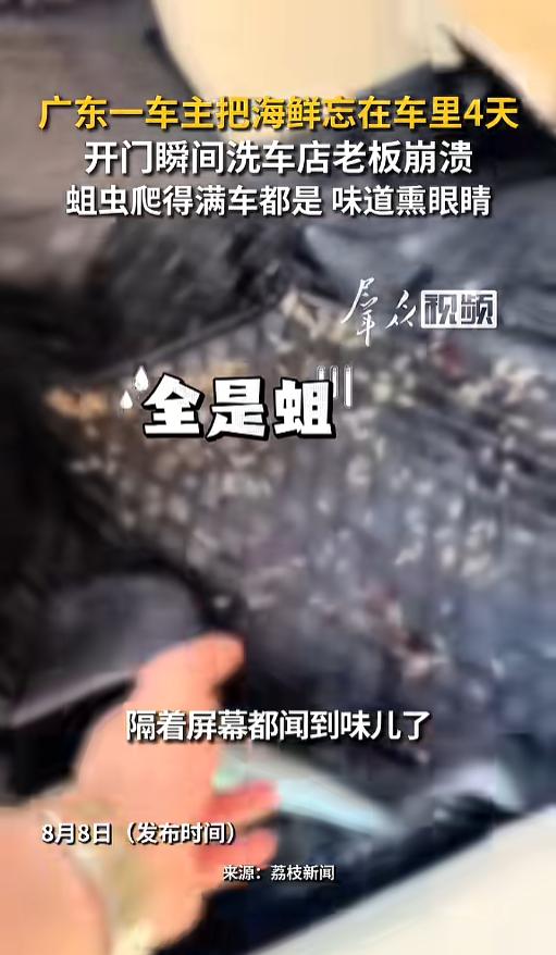 “这车不能要了！”8月8日报道，广东，车主买了5箱海鲜，四箱放在了后备箱里，一箱