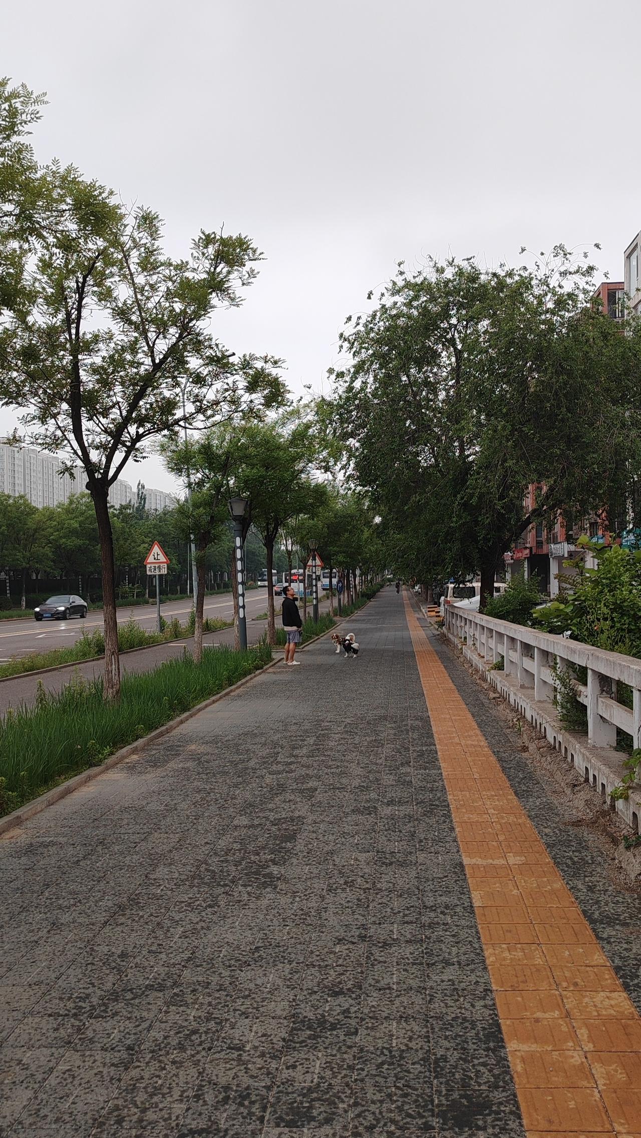 真正的练达，不是圆滑世故，而是历经世事沧桑后依然保持内心的纯真与善良。在这个快节
