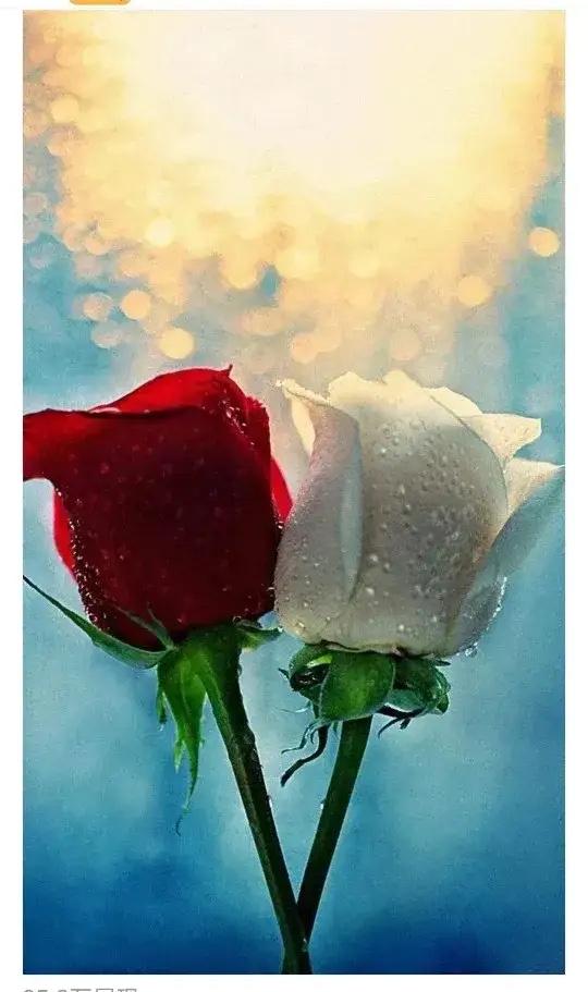 娶老婆多大的最好：
1.娶大一岁的：女大一不是妻
2.娶大两岁的：女大二生进儿，