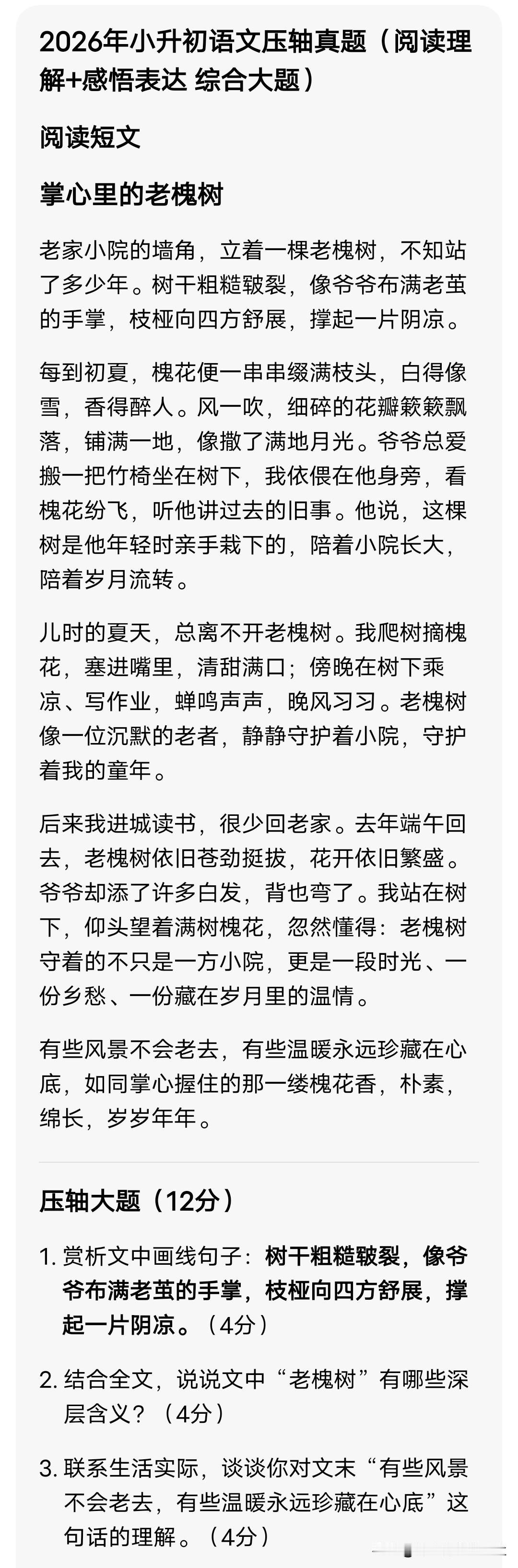 2026年小升初语文压轴真题（阅读理解+感悟表达 综合大题）