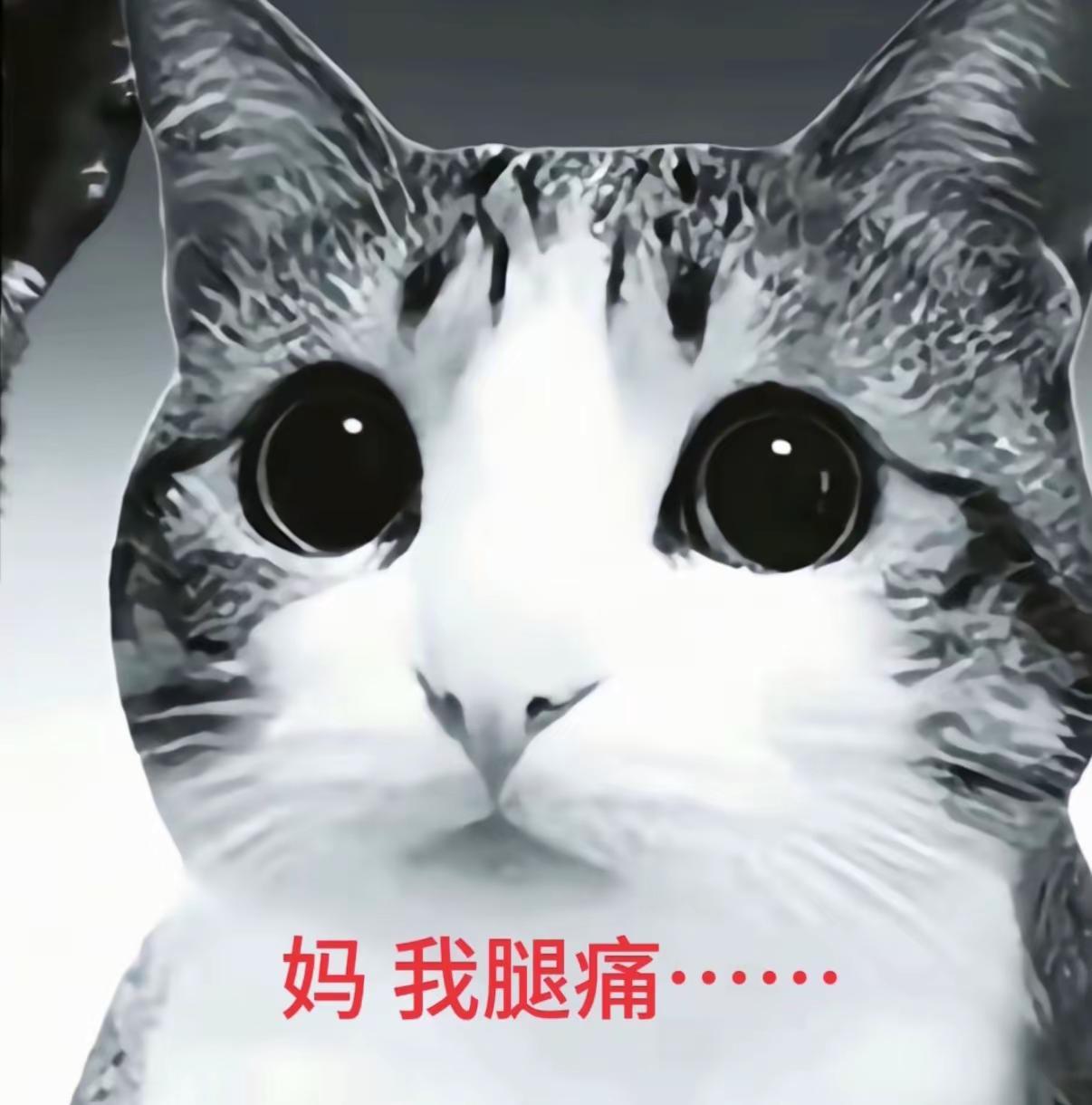 平安喜乐万事如意