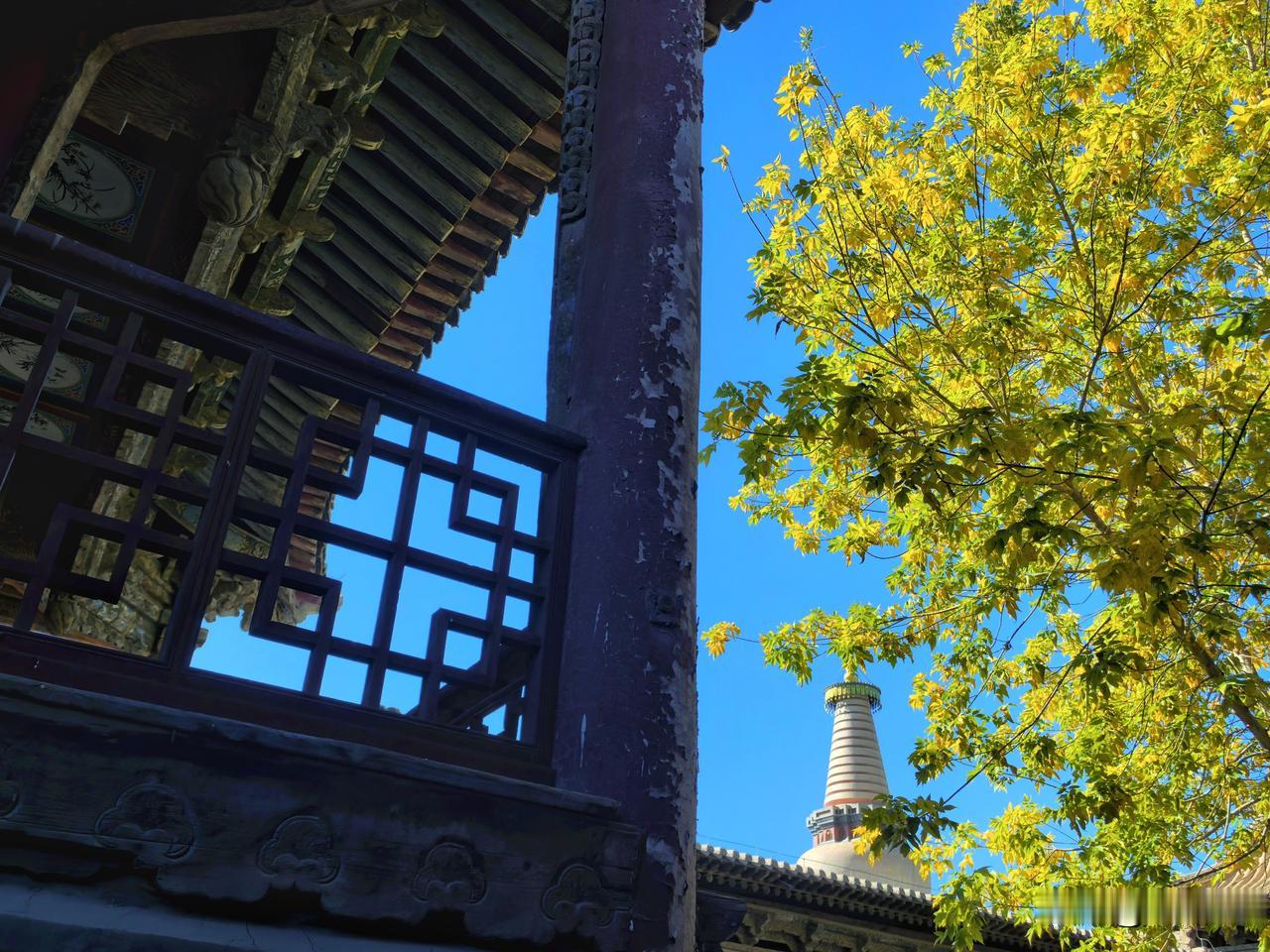 张掖弥陀千佛塔，也就是俗称的土塔，坐落在张掖大佛寺院内，是甘州五行塔里唯一留存的