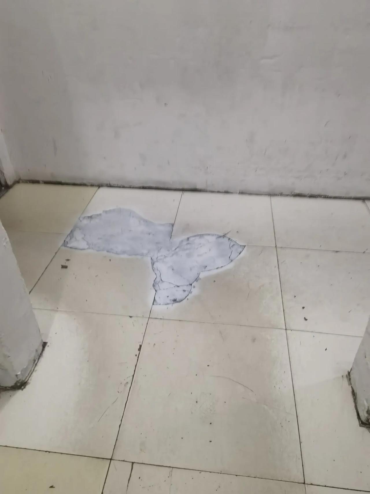 上级要来小区检查，这两天物业可忙活起来了，收拾的倒是比以前干净了。可你看看这地面
