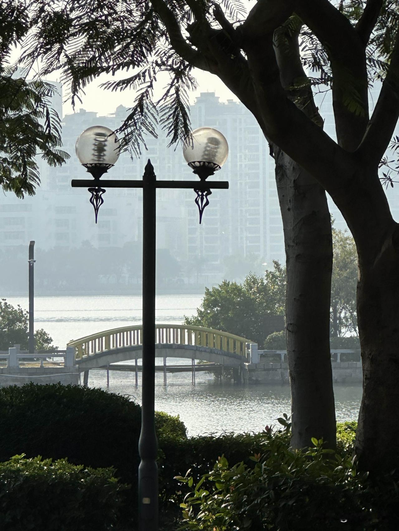 手机随手拍原创图片