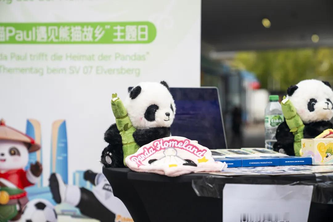 埃尔沃斯贝格这个熊猫看台真的是让人不得不爱啊！德甲联赛 埃尔沃斯贝格 ​​​