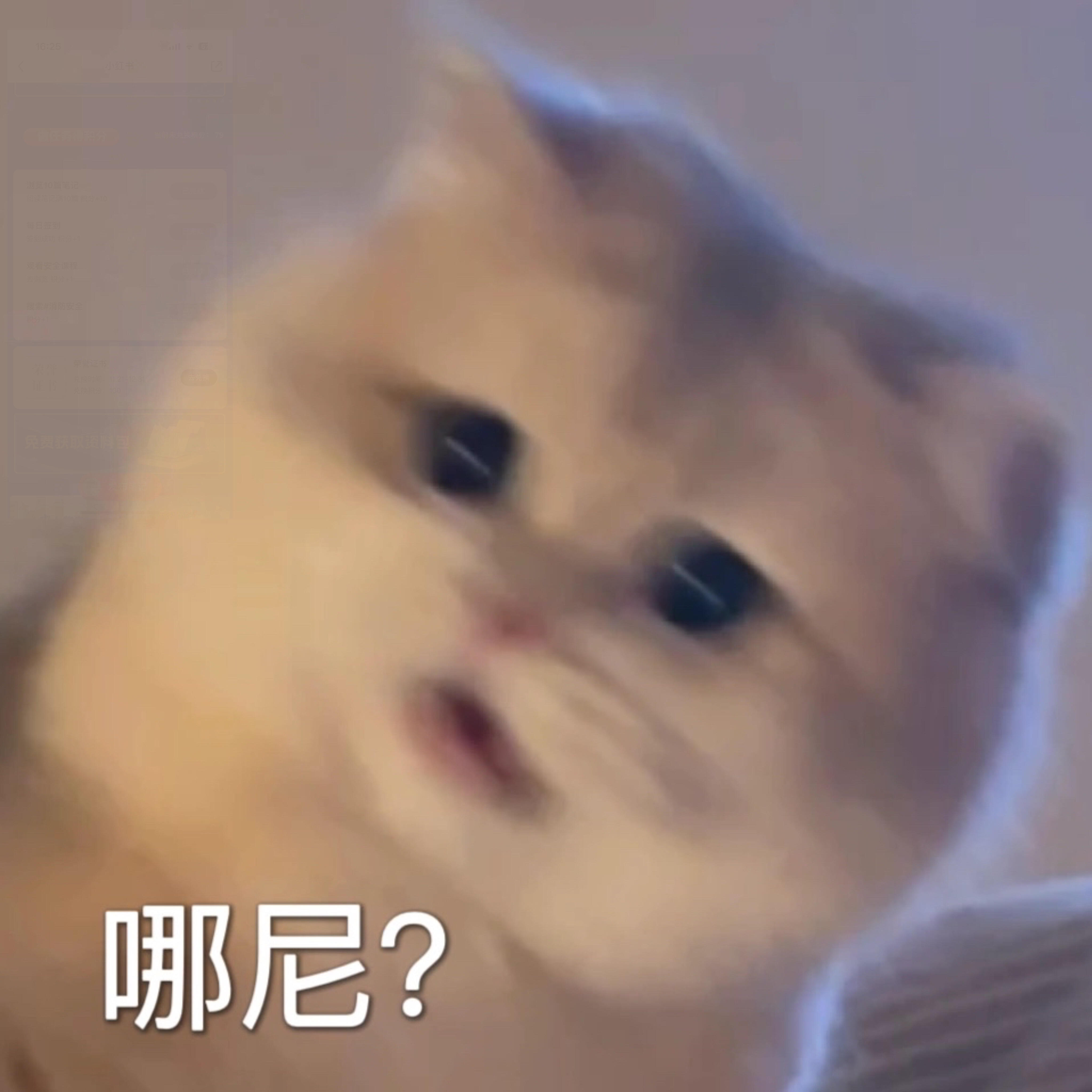 女子戴透视隐形眼镜打麻将被抓戴透视眼镜还输了，打麻将水平是有多烂