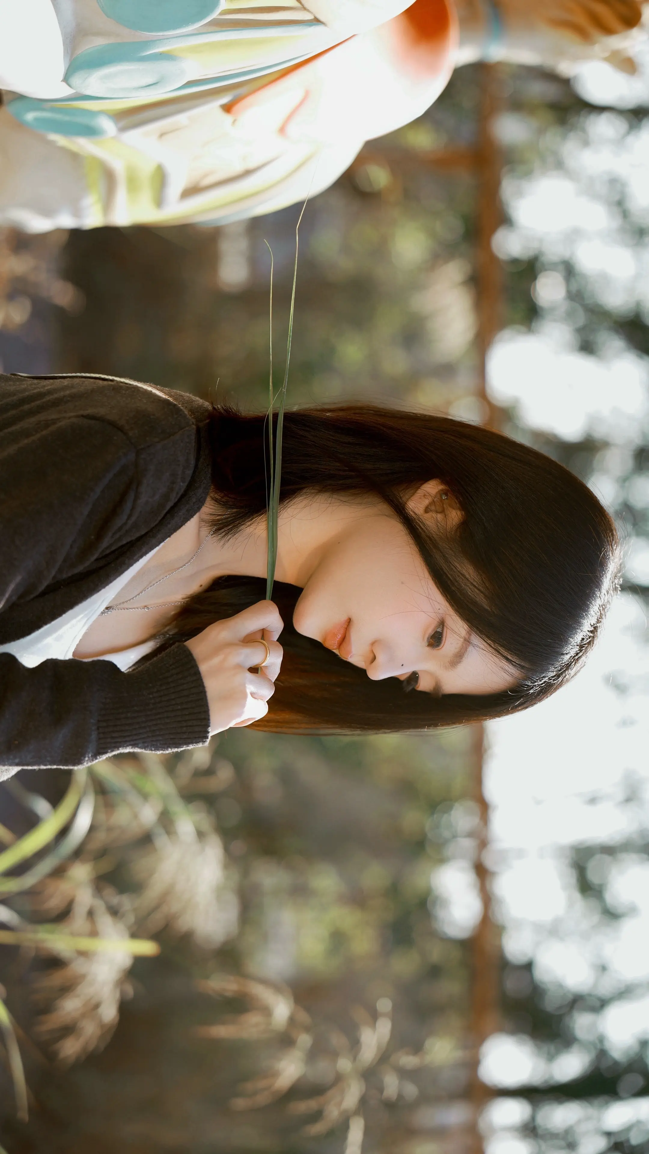 淡淡的就好 细水长流也行 人生不会太圆满 不奢求虚无 只珍惜爱我的和我爱的