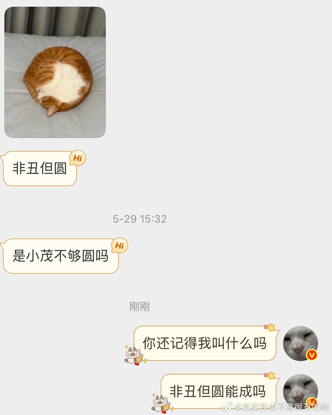 【非】不过确实是太圆了 硬币猫来了 