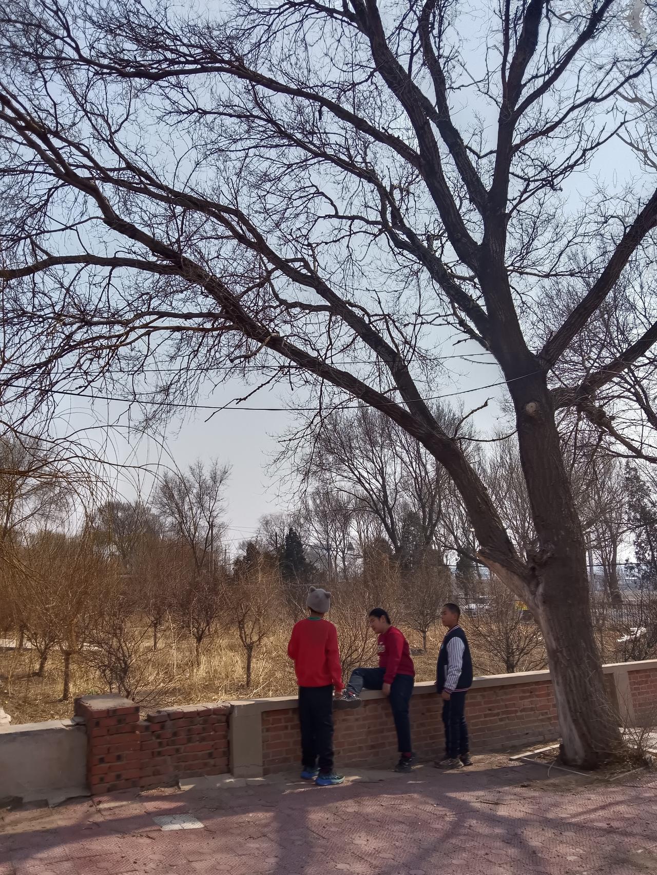 刚才胸脯有点不得劲，显着发沉，接着我没有吃药，上外边跳了一会儿广场舞。
全身心随