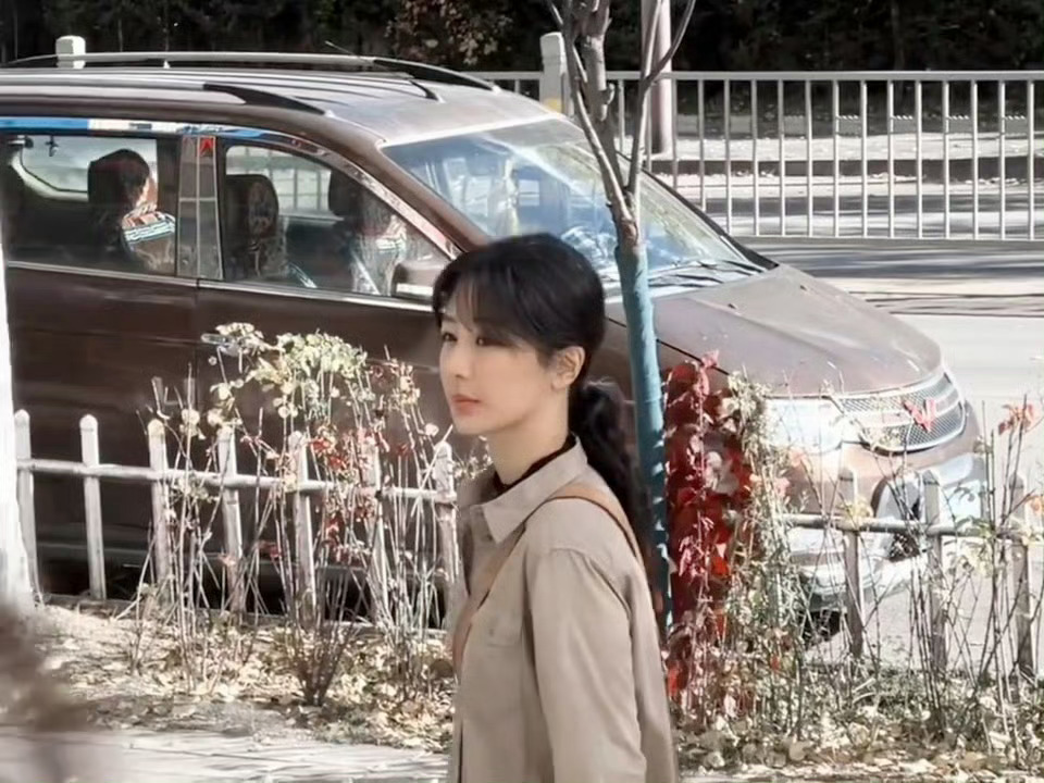 杨紫生命树白菊新路透，好美 ​​​