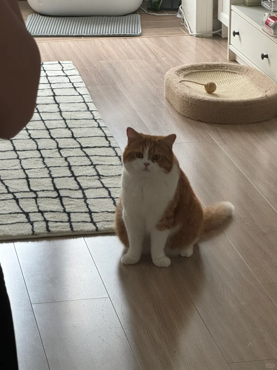 妈妈 照完镜子了吗？可以喂我了吧？