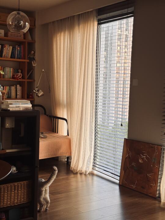 一人居｜那时只道是寻常 其实平日就是好日