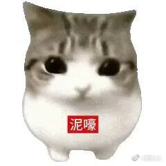 深夜上线一波～dy刷到很符合我们《今夜晚安》的两组婚纱照类型（已收藏哈哈p1是谭