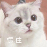 大财爱品美女