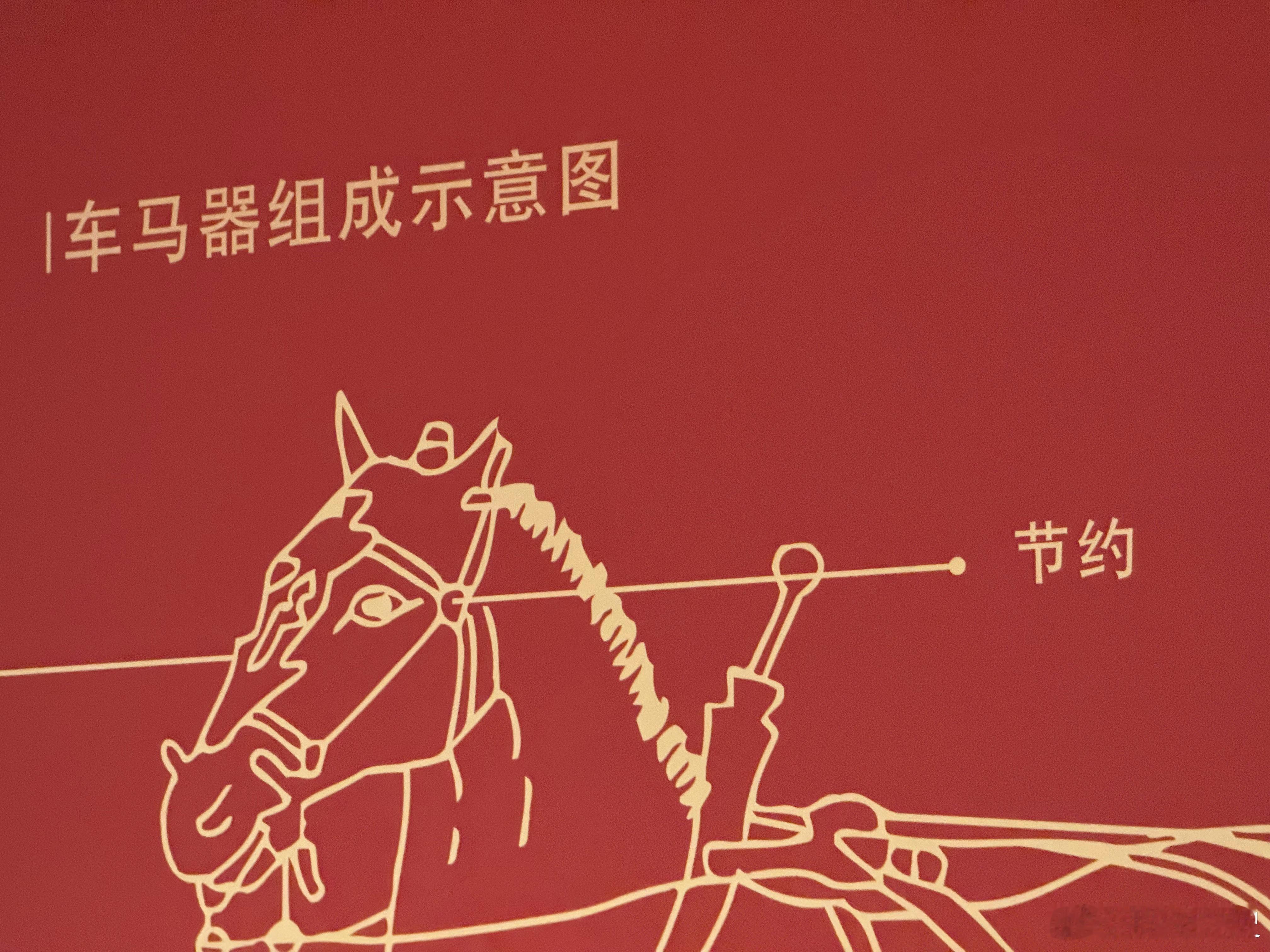 我的2025博物馆之旅“节约”这个词使用频率太高了，但你见过它长什么样吗？其实就