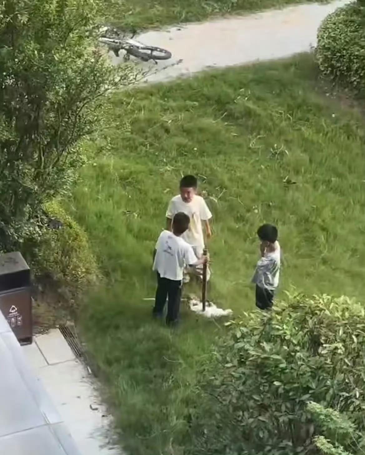 关于三个小孩小区虐猫至死的这个事儿在网上发酵了！事情的来龙去脉是这样的，几个小孩