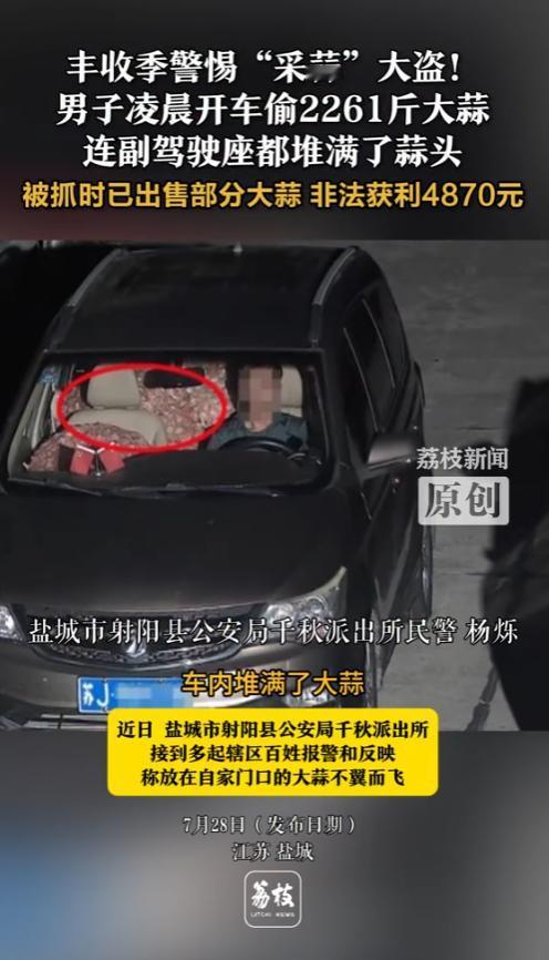 “丢人丢到家了！”2025年7月，江苏盐城，一男子凌晨开车偷了2261斤大蒜，连