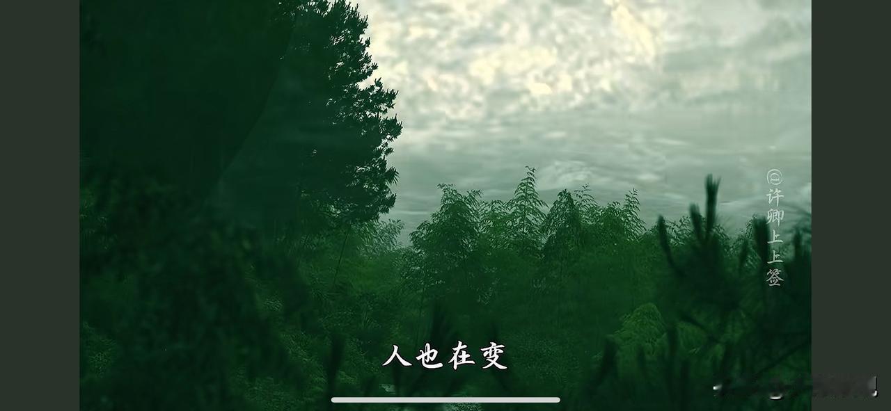 在变
不得不承认  人确实在经历了一些事情后，就悄悄换了一种性格，曾经的那个自己
