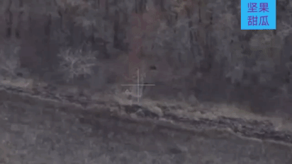 哈尔科夫地区，一门乌军的迫击炮布置在田野边的树林，伪装的很好，乌军以为俄军看不到