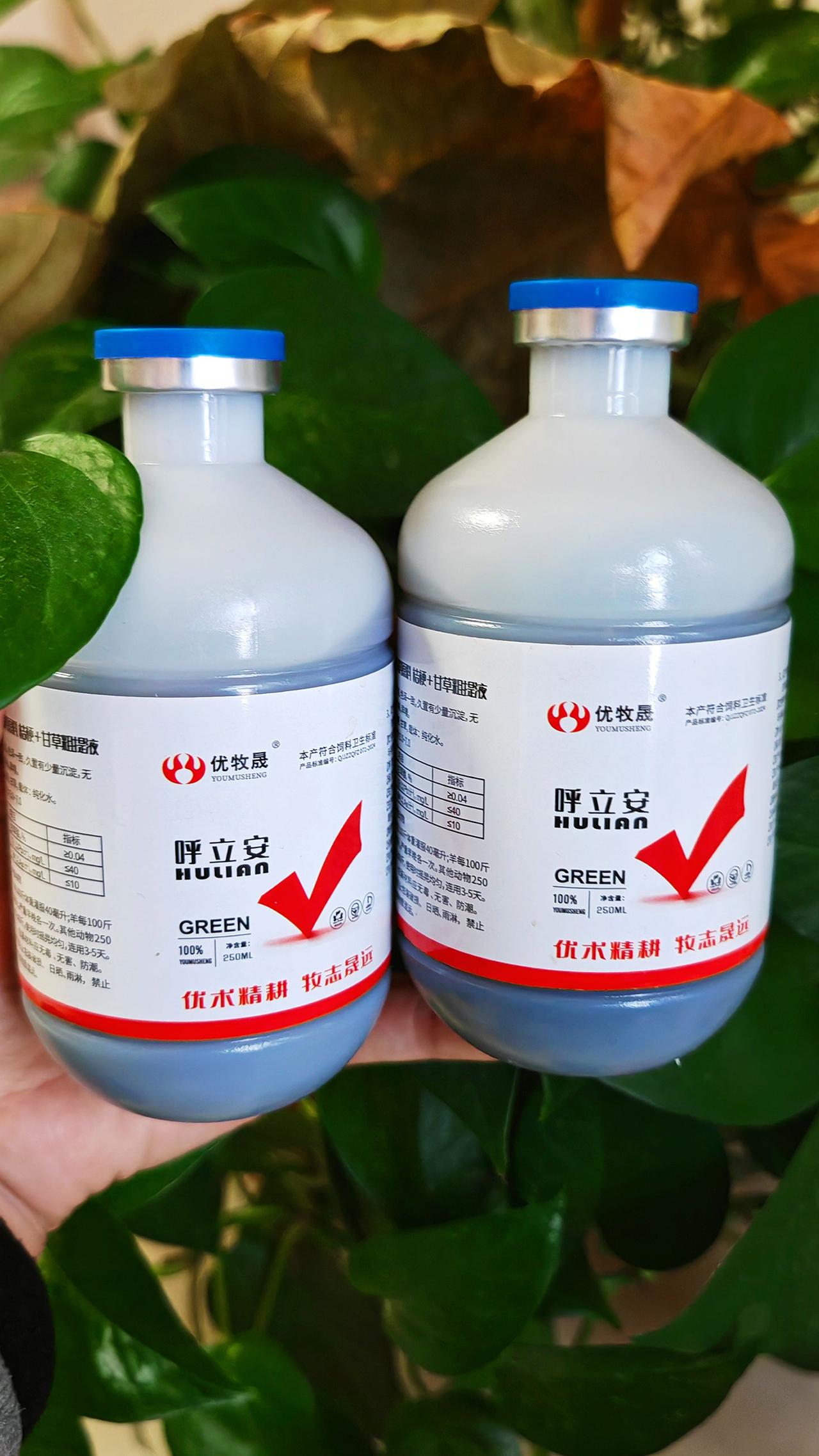 养羊人 农村养羊 牛羊养殖