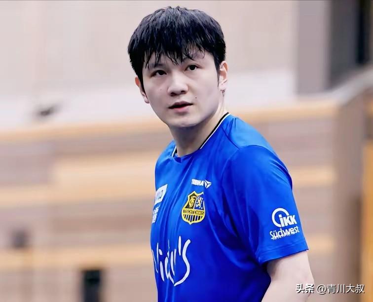 笑死我了！昨天樊振东出战！
对方53岁教练一看，
机会难得，
居然不让了，
自己