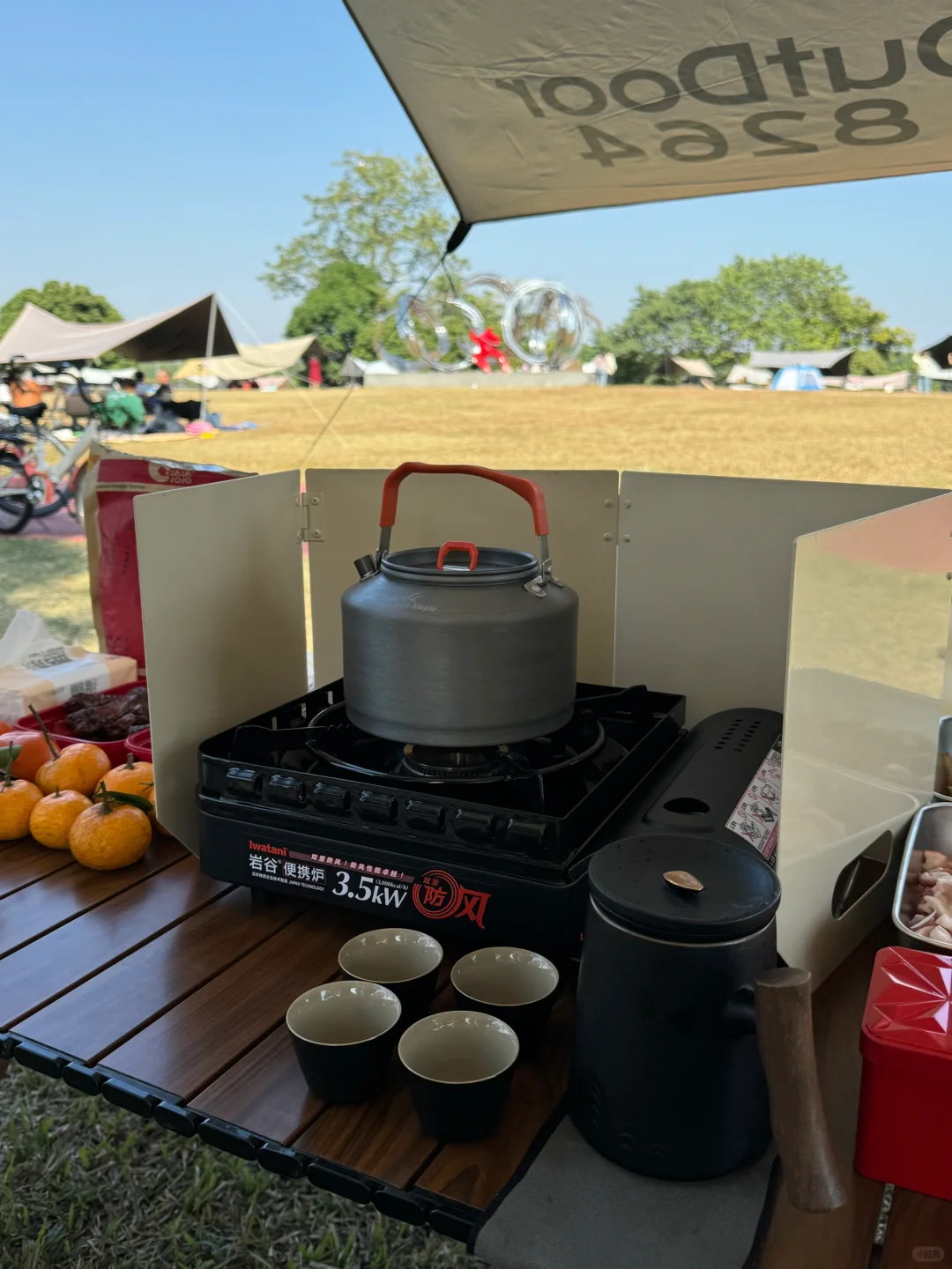 南宁人的周末｜江边露营🏕️喝茶烤肉🍹