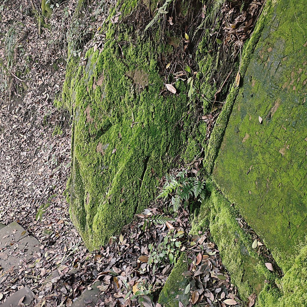 被出行界的读心术狠狠拿捏了作为晕车体质，在济南、杭州两地出行居然全程零不适，真的