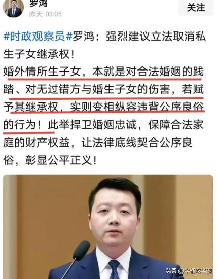 专家罗鸿提了个建议，直接捅了马蜂窝！罗鸿表示，强烈建议取消私生子女的继承权！搞婚