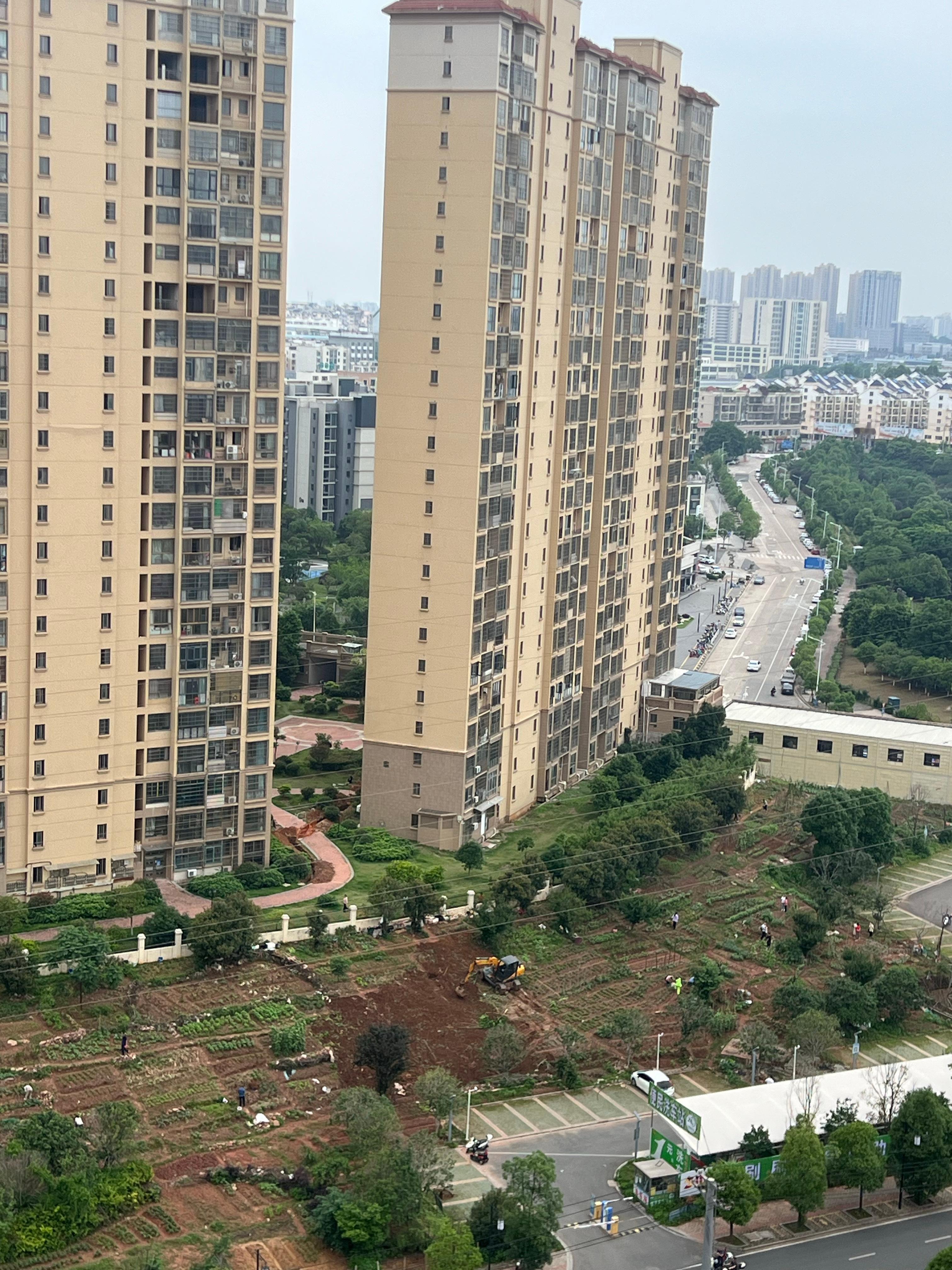 一直对隔壁小区那一块空地好奇。一年前那里是几个高高的小土推，前几个月发现移位平地