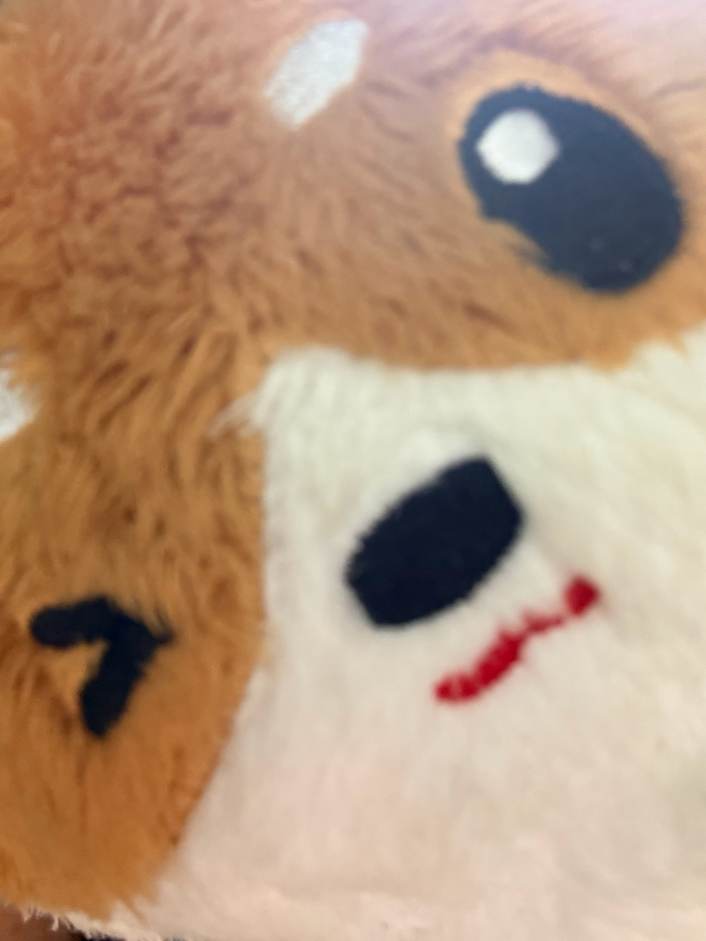 今日排啵啵来养铁 