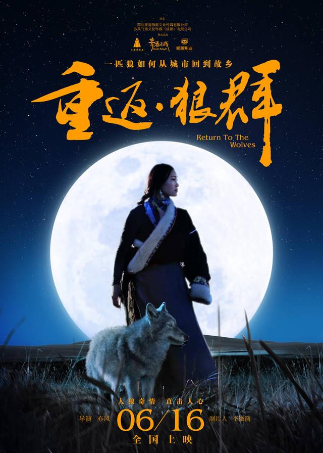 《重返狼群》爆火，女画家李微漪回应“导演独自逃命”等质疑，“狼王格林现状”也登上