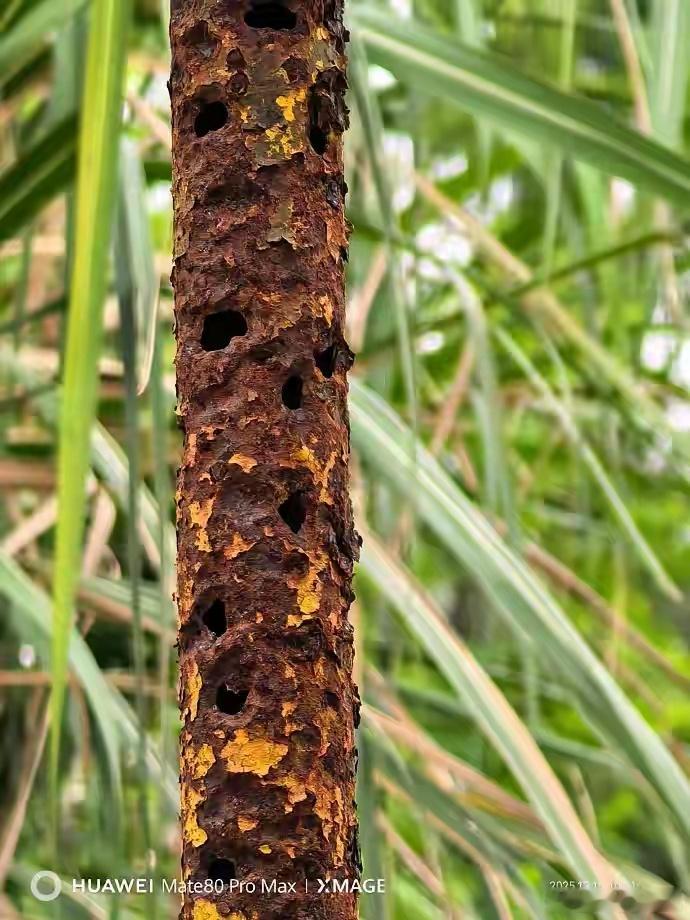 一大早开始，各个平台很多小朋友喊话，要让我说说罗永浩的科技春晚。本来想不再扯他了
