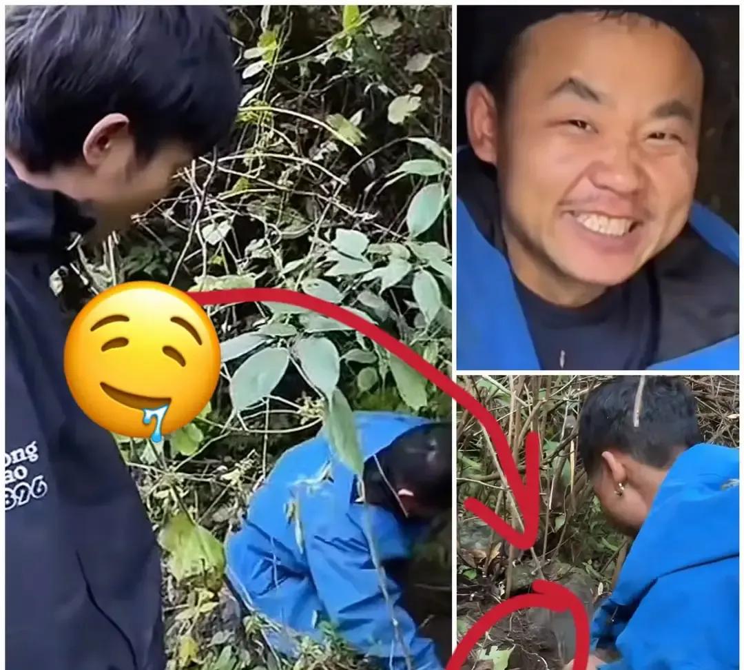 苗王蹲在山坡瞄了一眼藤蔓，随手一指就刨出两块八公斤重的“山药王”我在屏幕前看他像