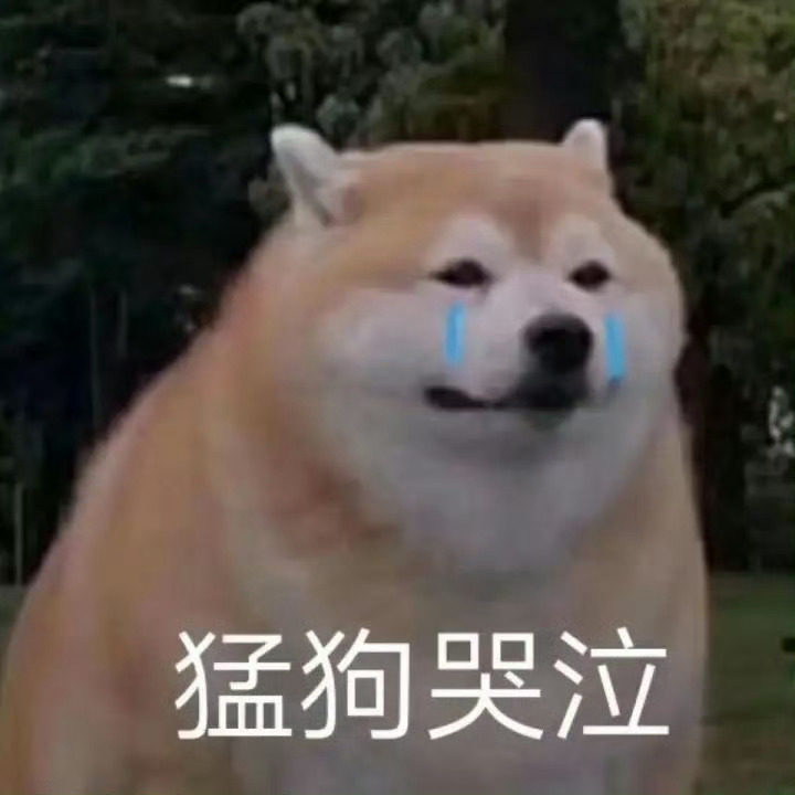 我宣布！没有比这更万能的表情包了[憧憬] ​​​
