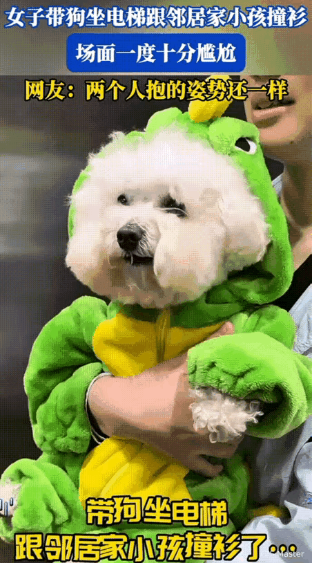 哭笑不得！女子抱着狗狗坐电梯回家，刚进电梯邻居随后就跟着进来了。结果尴尬的是:邻