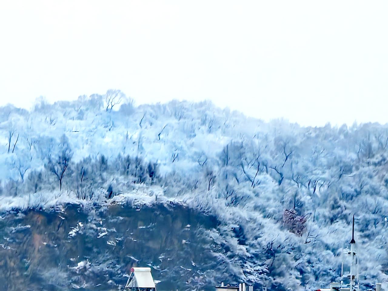 春雪普降吉林市
昨夜一场春雪
今晨万树雪凇
满目琼花玉树
疑是误入仙境