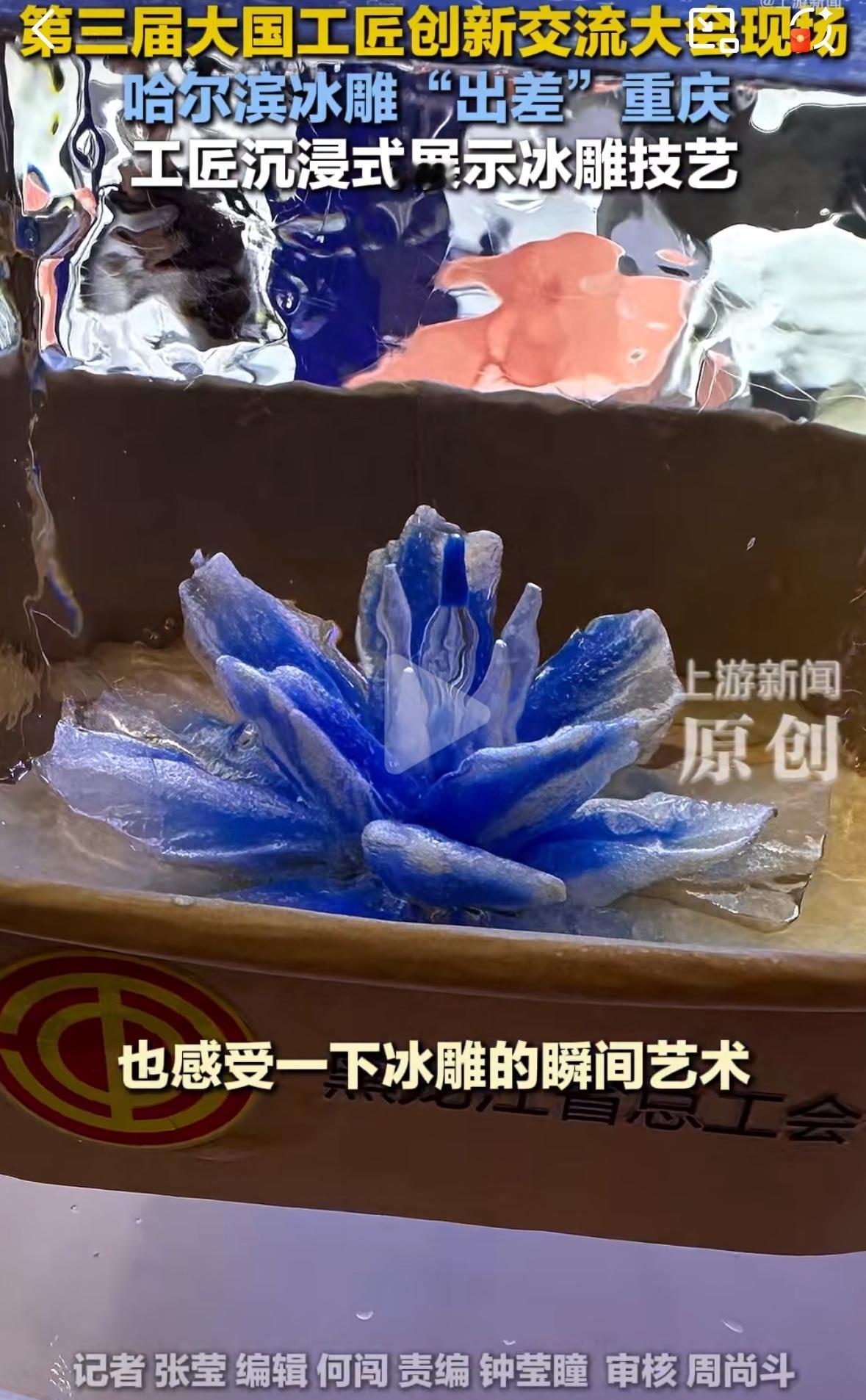 “圆梦了”冰与火之歌：当哈尔滨冰雕空降山城重庆

这个冬天，重庆的街头多了一份北