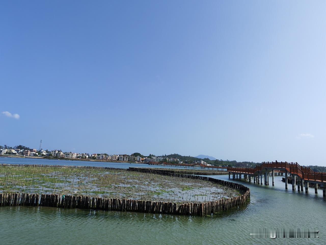 广东省阳西县沙扒镇月亮湾过冬记（四十四）又来海仔湖

今天陪朋友又来海仔湖。通过