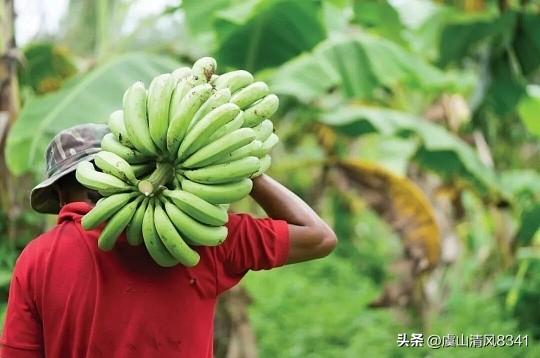 我认为快乐重要，人生巅峰不在于成绩在心里喜乐，水果自由。