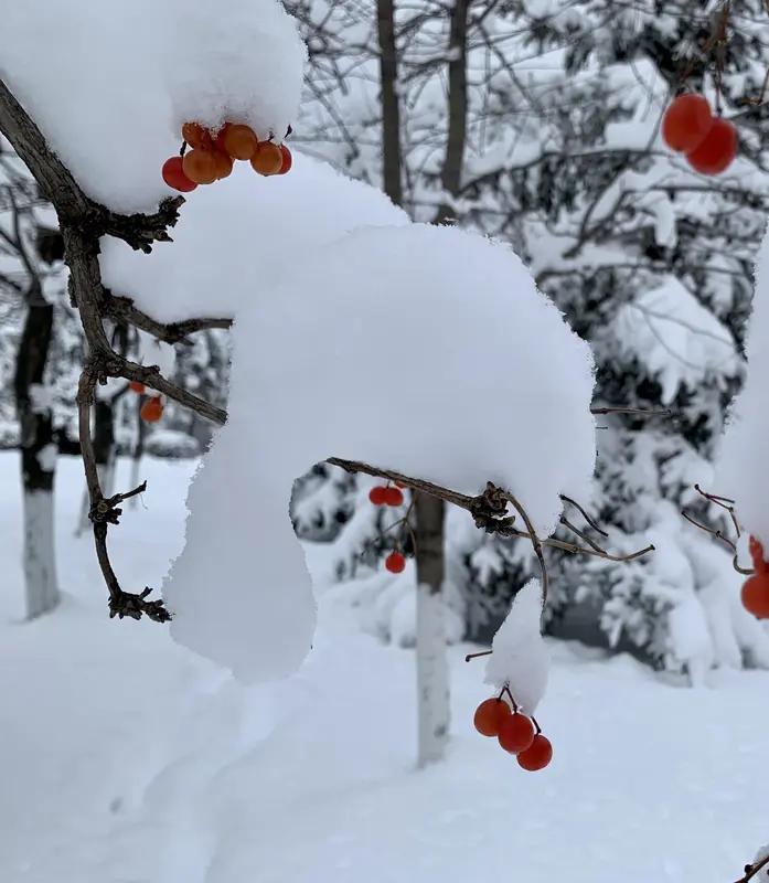 咏雪

尔在北方飘，
吾随曲谱描。
柔情生浪漫，
雅韵主妖娆。


咏罗浮山
