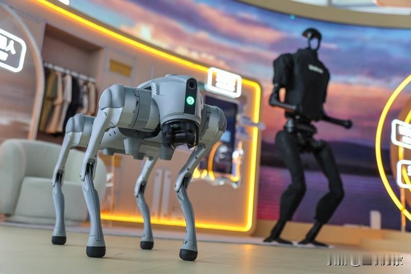 家人们，最近国产机器人可太猛了！先是众擎机器人T800亮相，这哪是机器人，简直是